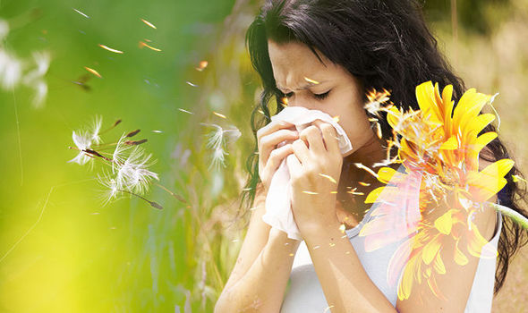 Suffering from Allergic Rhinitis/Hay Fever? 8 things proven to help