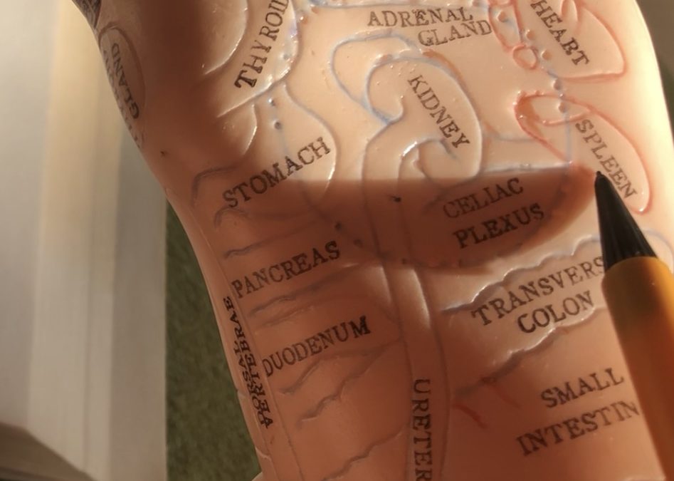 How to boost your immune system with hand reflexology, before the winter sets in