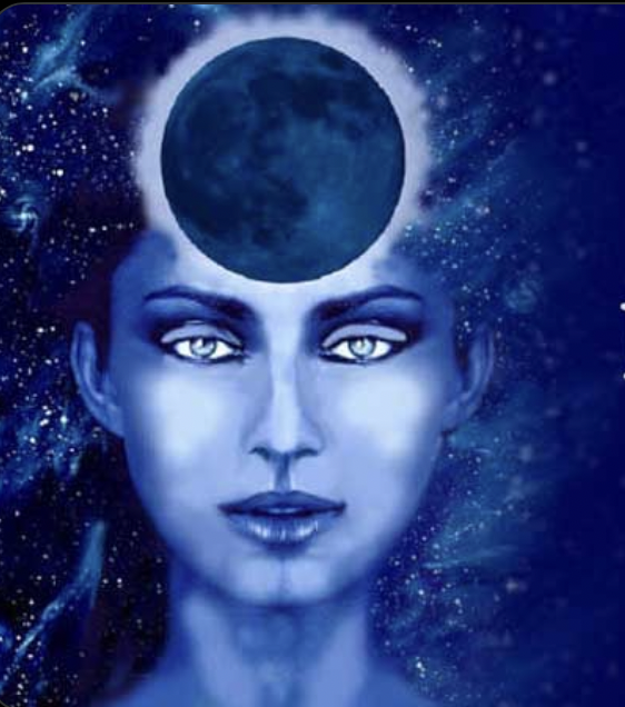 Who are the Indigo adults?