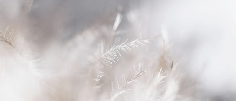 Reconnect With Your Soul and Your Intuitive Potentials