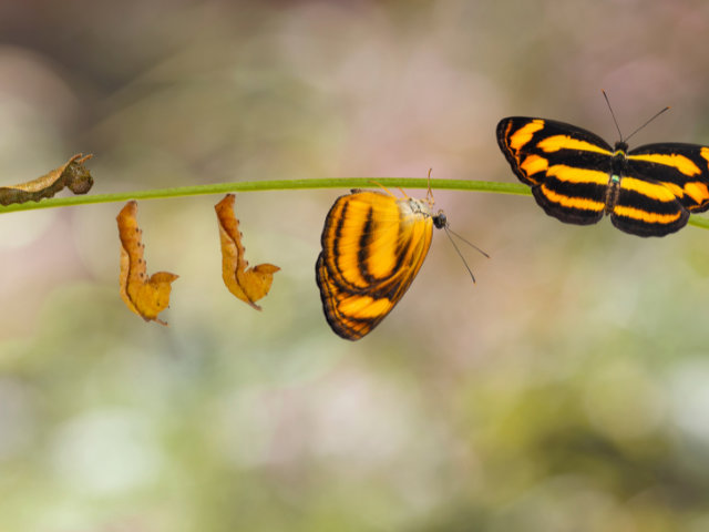 8 Conscious Steps to Transform Negative Samskaras