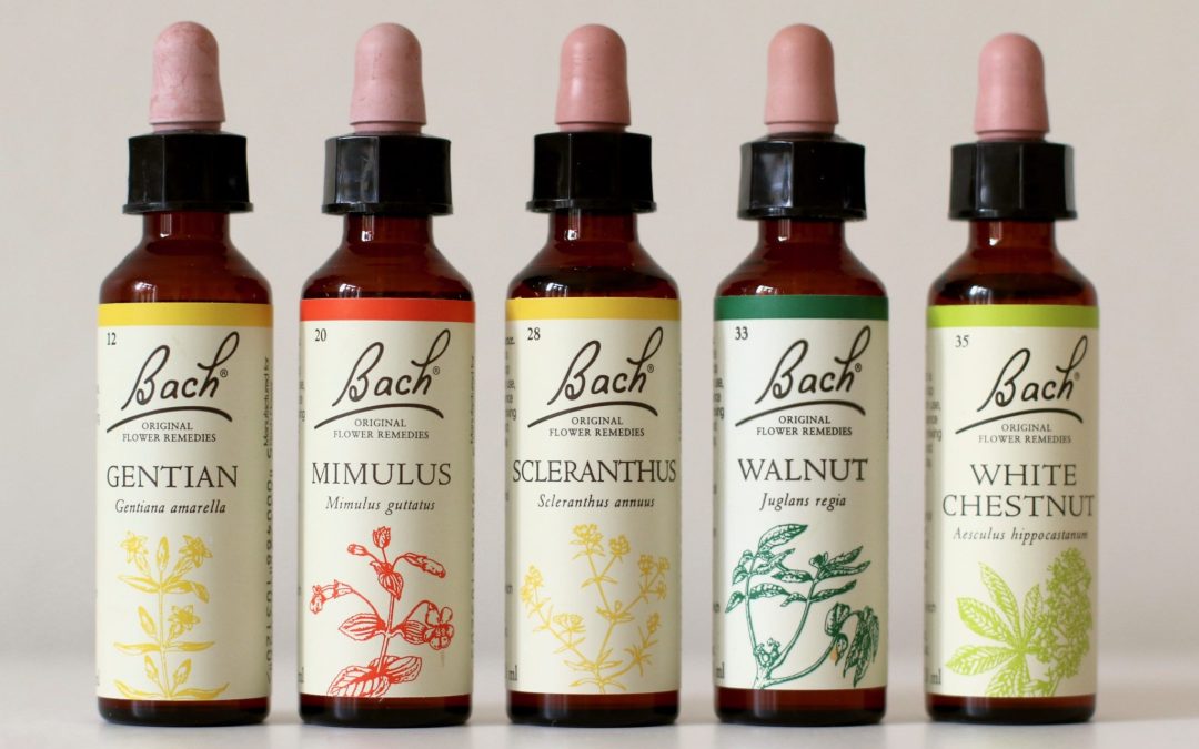 5 Bach Remedies to help you find calm in a (financial) crisis