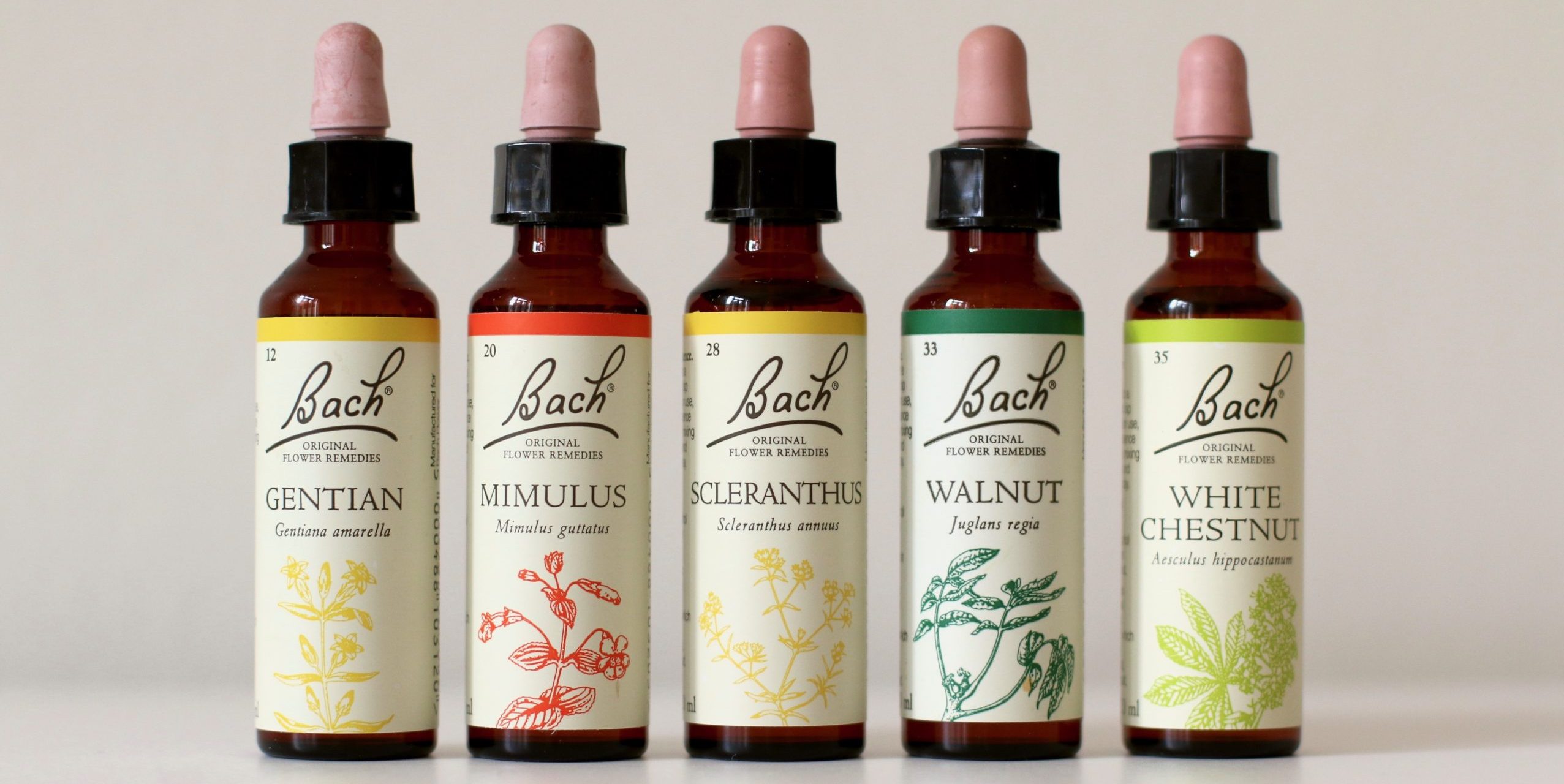 A selection of Bach Flower Remedies which may help to balance financial concerns.