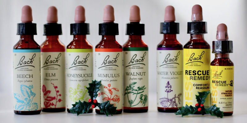 Deck the Halls with Bach Flower Remedies! Seasonal remedies for support (or rescue) during the holidays…