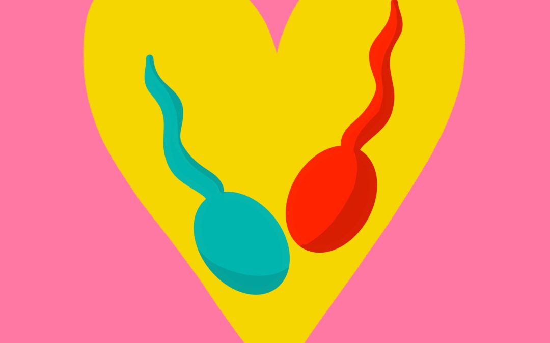 How to maximise your chances of conception each month