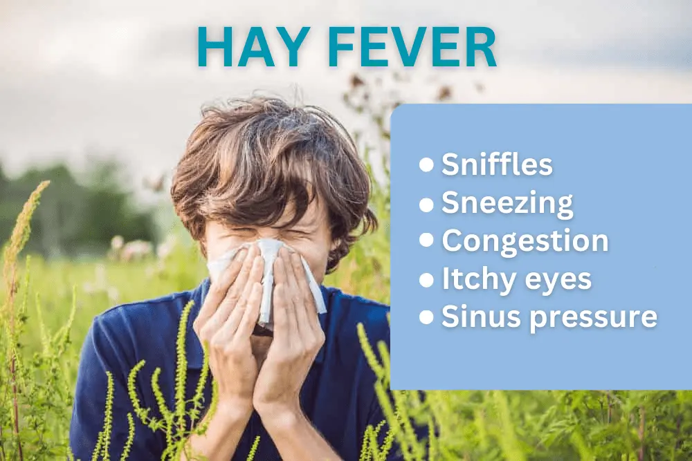 Hay Fever Symptoms and Treatment