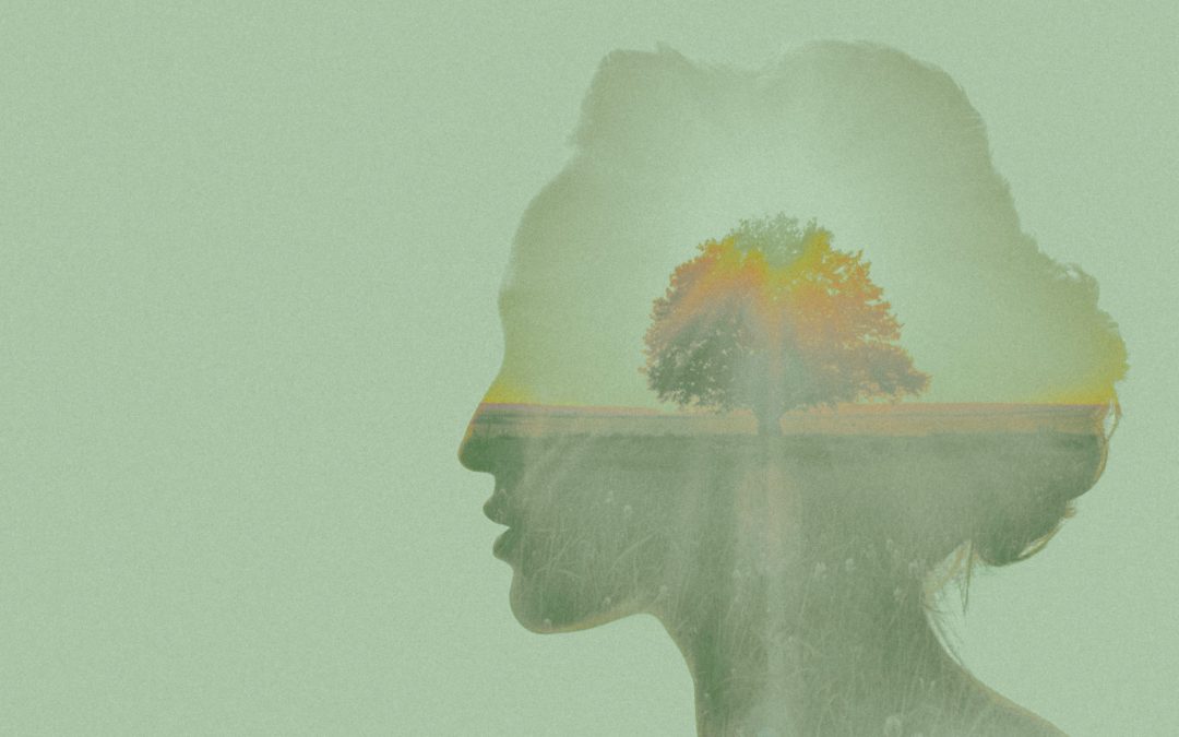 The Effect of Botanical Medicines on the Brain – What the Research Says