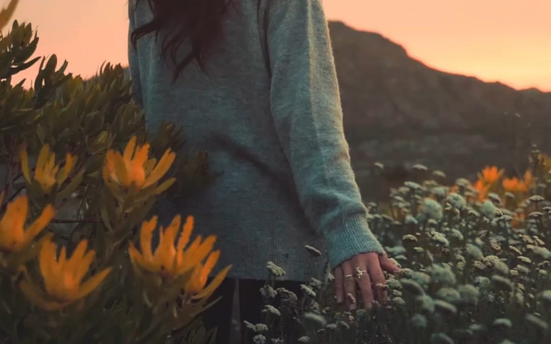 The Benefits of Human Interaction With the Natural World