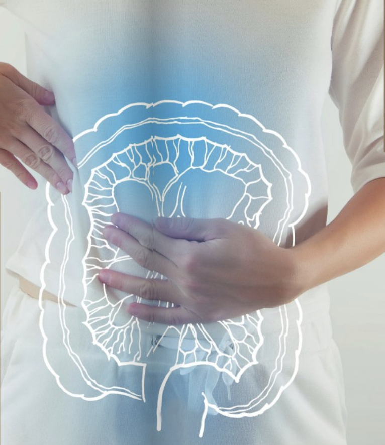 Transform your Gut Health