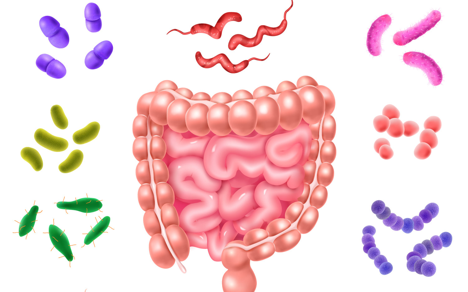 Gut Microbiome