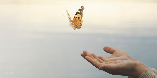 Unlocking Your Potential: How Hypnotherapy Breaks Conditioning and Empowers Transformation